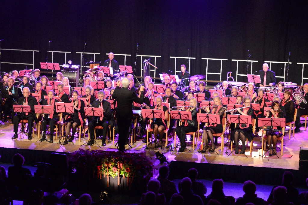 ../Images/Jubileumconcert 100 jaar Harpe Davids 265.jpg